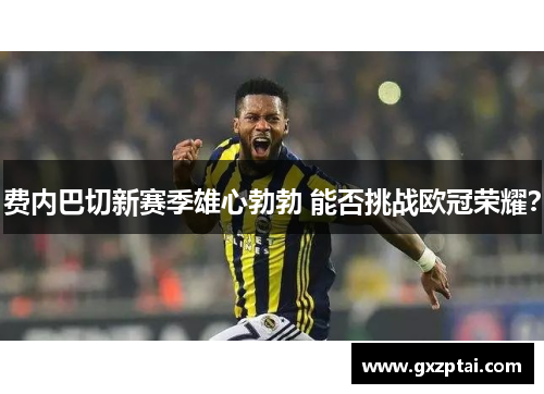 费内巴切新赛季雄心勃勃 能否挑战欧冠荣耀？