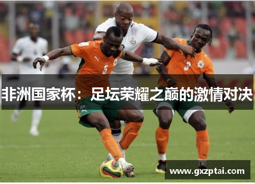 非洲国家杯：足坛荣耀之巅的激情对决